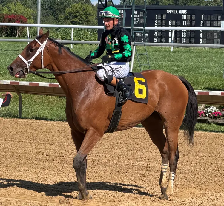 Irish Maxima after Dashing Beauty at DEL July 23 2026