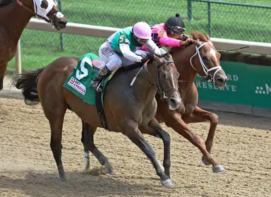 Honest Mischief has 15 in Fasig-Tipton New York-bred preferred yearling sale