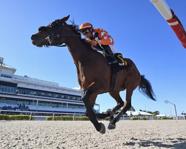 Starship Melody gives Smullen good shot to stay hot