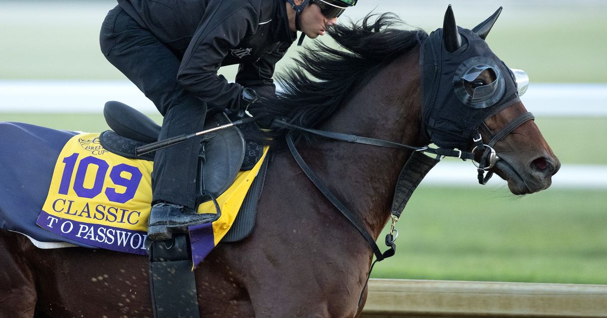 Breeders' Cup Clocker: 'Aidan's Army' leads full brigade of stars on the track