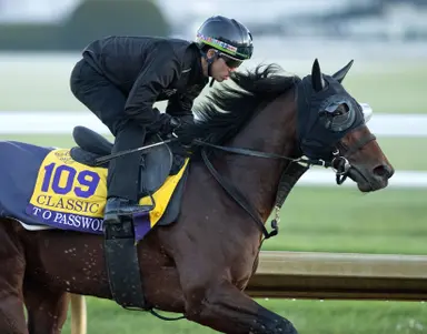 Breeders' Cup Clocker: 'Aidan's Army' leads full brigade of stars on the track