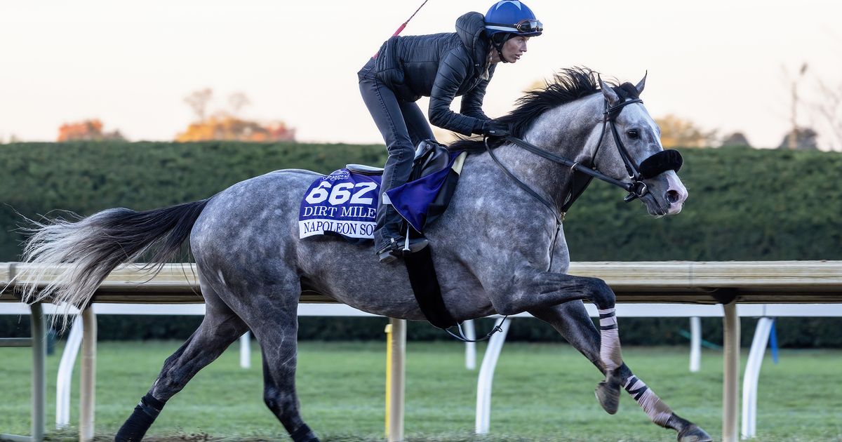 Breeders' Cup Clocker: Knightsbridge, Napoleon Solo keep foot on the gas for Classic