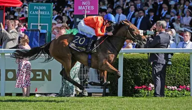 Green Carrera ticketed for Del Mar after racing abroad
