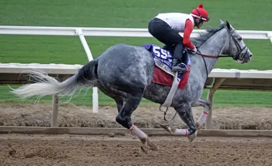 Sweet Azteca could return in Great Lady M.