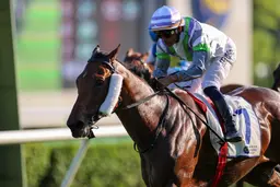 Light Years Charm lands Group 2 Sha Tin Trophy to complete Eustace treble