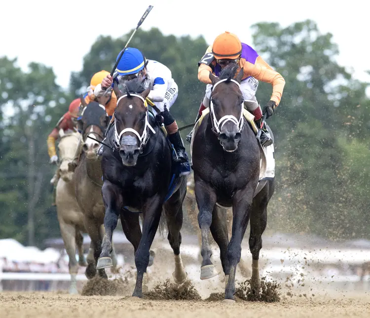 Local Knowledge (right) beats Solitude Dude in Amsterdam at SAR July 31 2026