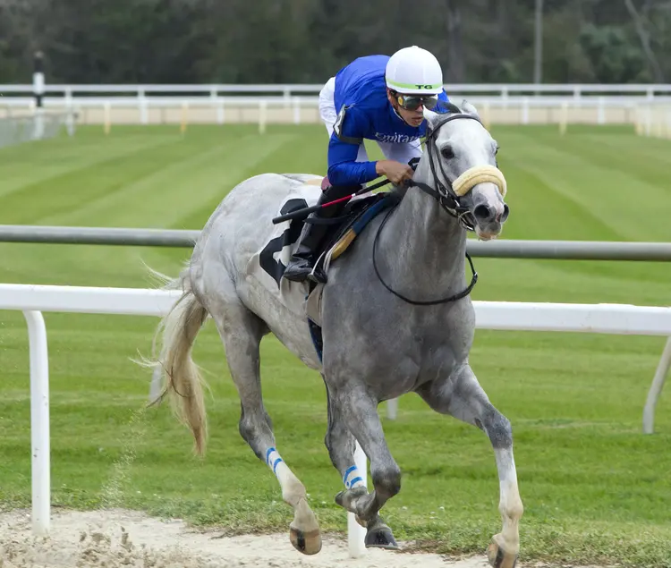 Suerte maiden win