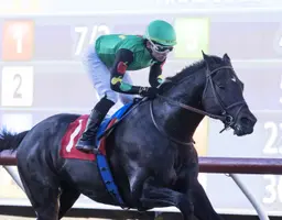 El Potente may end layoff with Eddie Read Stakes