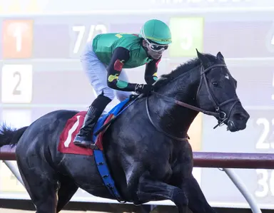 El Potente may end layoff with Eddie Read Stakes