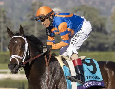 Kentucky Derby pedigree profile: Fierceness