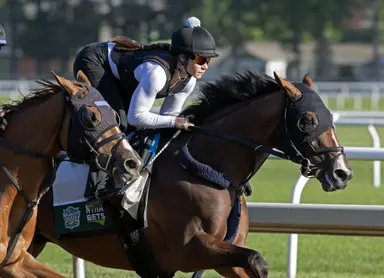 2024 Belmont Stakes: Gargan hopes Dornoch gets rejuvenated at the Spa