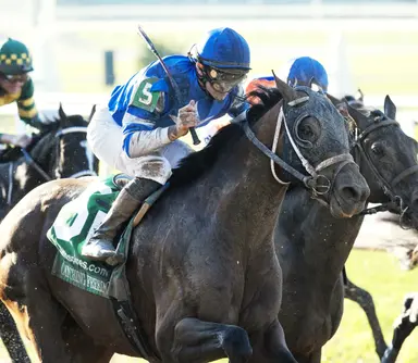 Catching Freedom, with Louisiana Derby win behind him, waits for Kentucky Derby