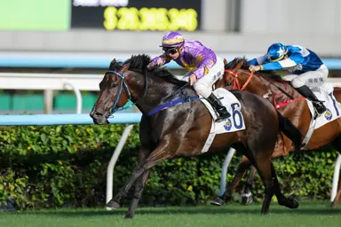 Little Paradise returns as Purton bids to ignite Ting partnership in G3 Celebration Cup