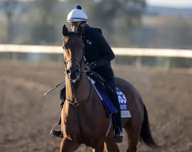 Saturday Breeders' Cup results expected to bolster Fasig-Tipton November sale