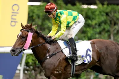Declan Schuster's Hong Kong Analysis and Selections for Wednesday, October 18, 2023