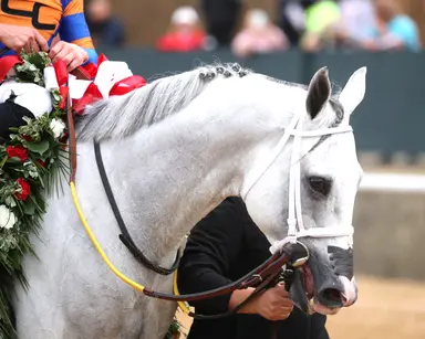 White Abarrio giving Joseph all the right signs as Stephen Foster nears
