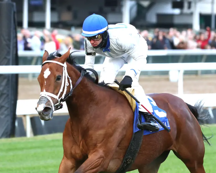 DUVET DAY - The Cardinal G3 - 11-28-24 - R11 - Churchill Downs - Inside Finish 01 - John Gallagher.jpg