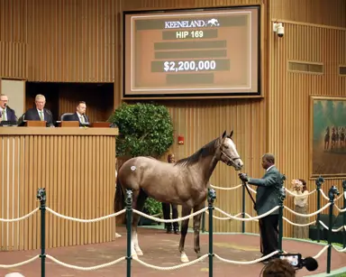 Keeneland September sale: Gun Runner yearlings take top two spots in opening session