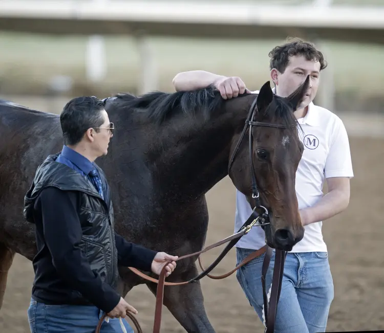 Tamara02.11-15-24.BL_.jpg