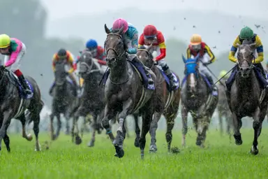 Japan: Blow the Horn grabs BC Turf berth with Takarazuka Kinen triumph