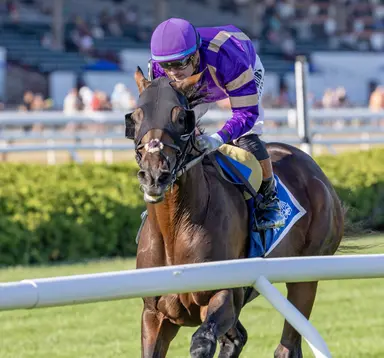 Tawny Port likely to start in Christophe Clement Stakes next
