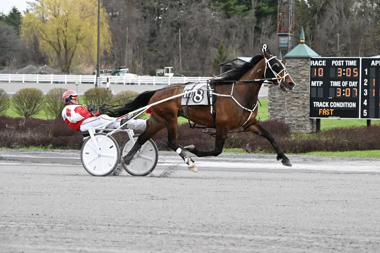 Big Box Hanover_Jessica Hallett.JPG