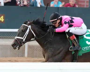 Sticker Shock's likely next start is Fantasy as Kentucky Oaks prep