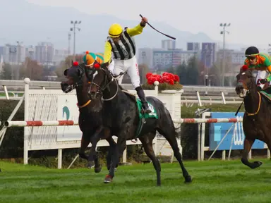 Chile: Gran Oriente earns Breeders' Cup Mile berth with first Group 1 win