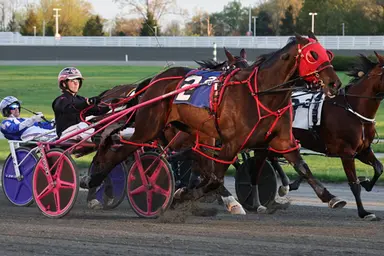 Yonkers:  Smooth sailing for Silk Cloud A in MGM Ursula McIntyre Series