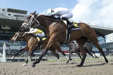 Dixie Law noses Meilani in Ruling Angel Stakes