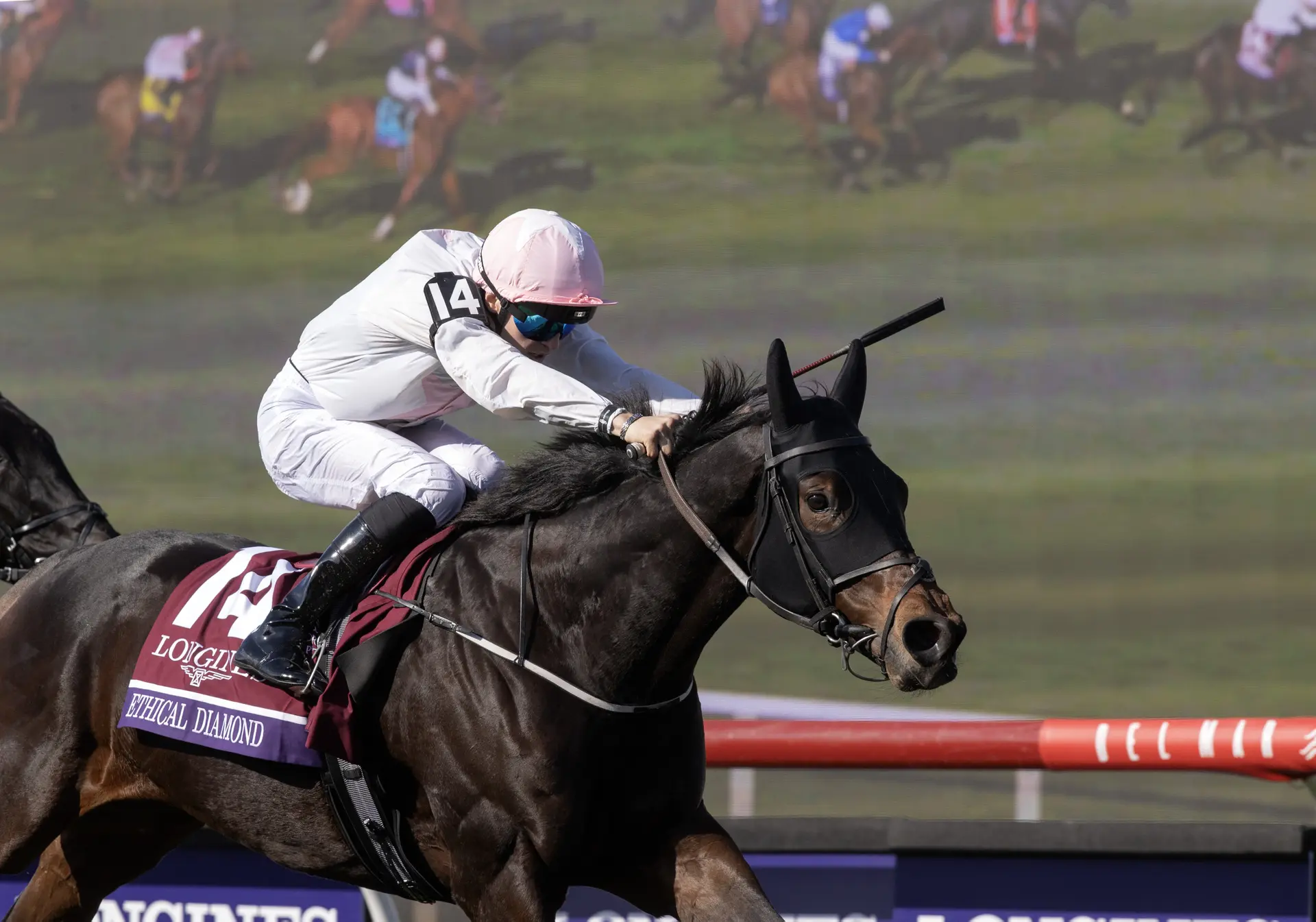 Breeders' Cup Turf: Ethical Diamond steps up to the occasion