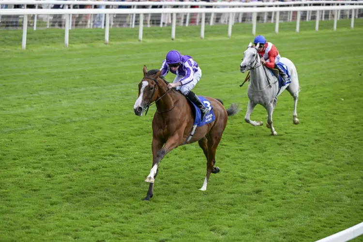 Minnie Hauk (IRE) - Yorkshire Oaks - Yorkracecourse.jpg