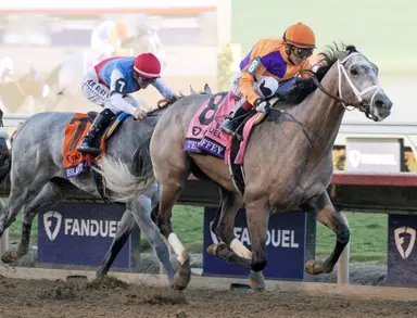 Ted Noffey individual favorite at 6-1 in third Kentucky Derby Future Wager pool