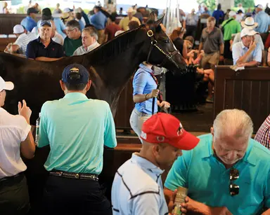Keeneland September: Yearling sales remain predominantly in-person events