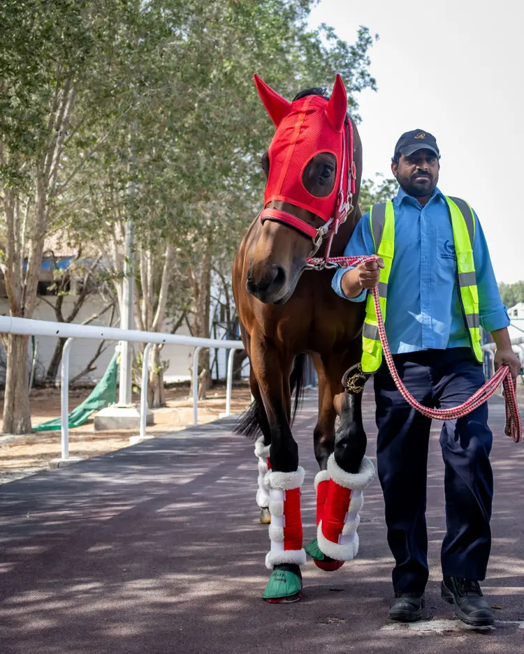 Forever Young05.2.17.26.Dubai Racing Club.jpg