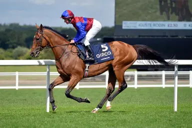 Aidan O’Brien fields four runners at LONGINES Hong Kong International Races