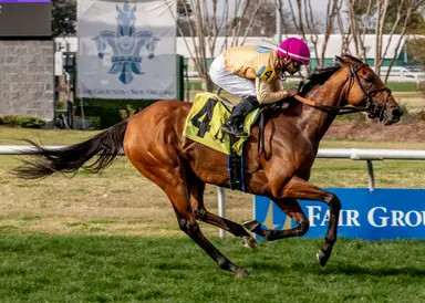 Expensive Queen goes wide on Medoro in Albert Stall Memorial