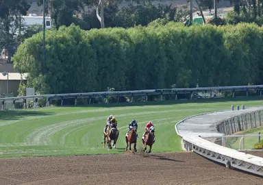 DRF's Horse Racing Playbook for Sunday, May 7, 2023