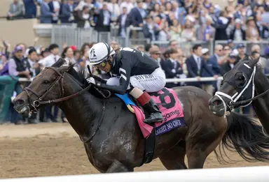 Straight No Chaser looks to establish global prominence in Riyadh Dirt Sprint