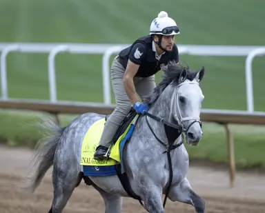 Turf pedigrees fine for Kentucky Derby