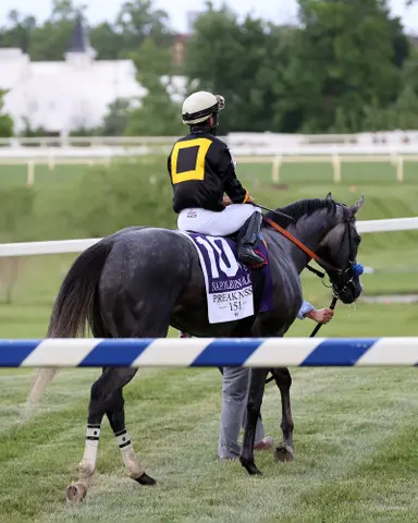 Betting on Preakness down 6.2 percent