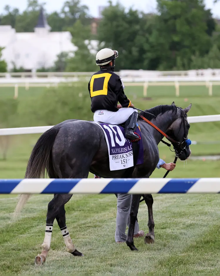 Napoleon Solo04.Preakness.5-16-26.SR_.jpg