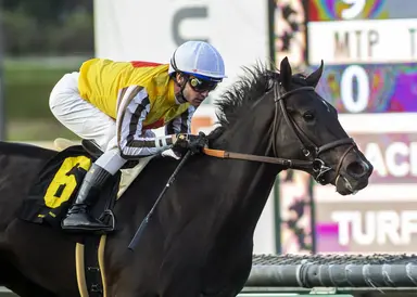 Brad Free's Santa Anita Horses to Watch for week of March 14, 2024
