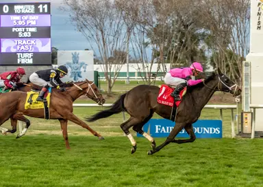 Kupuna finds first turf stakes win in Colonel E. R. Bradley
