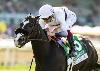 D'Amato will have Almendares, King of Gosford in search of sixth Shoemaker Mile win
