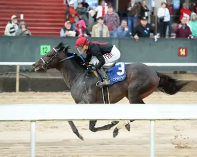 Smile Happy continues comeback in Oaklawn Mile