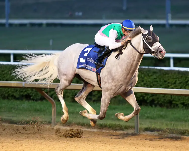 DRAGOON GUARD - The West Virginia Derby G3 - 08-04-24 - R08 - Mountaineer Park - Finish 02 - Abby Brown.jpg