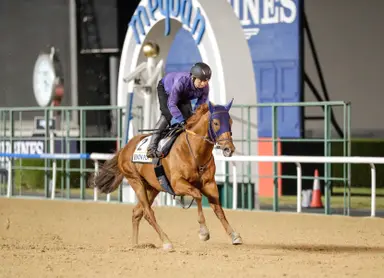 Japan: Lemon Pop looks to repeat in Champions Cup for career finale