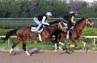 Mentee is a danger on turf or dirt