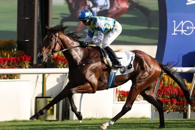 Galaxy Patch limbers up for Group 2 test with easy trial